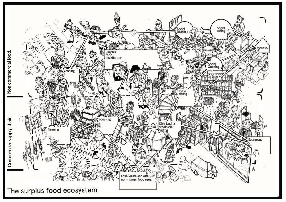 megan illustration.jpg